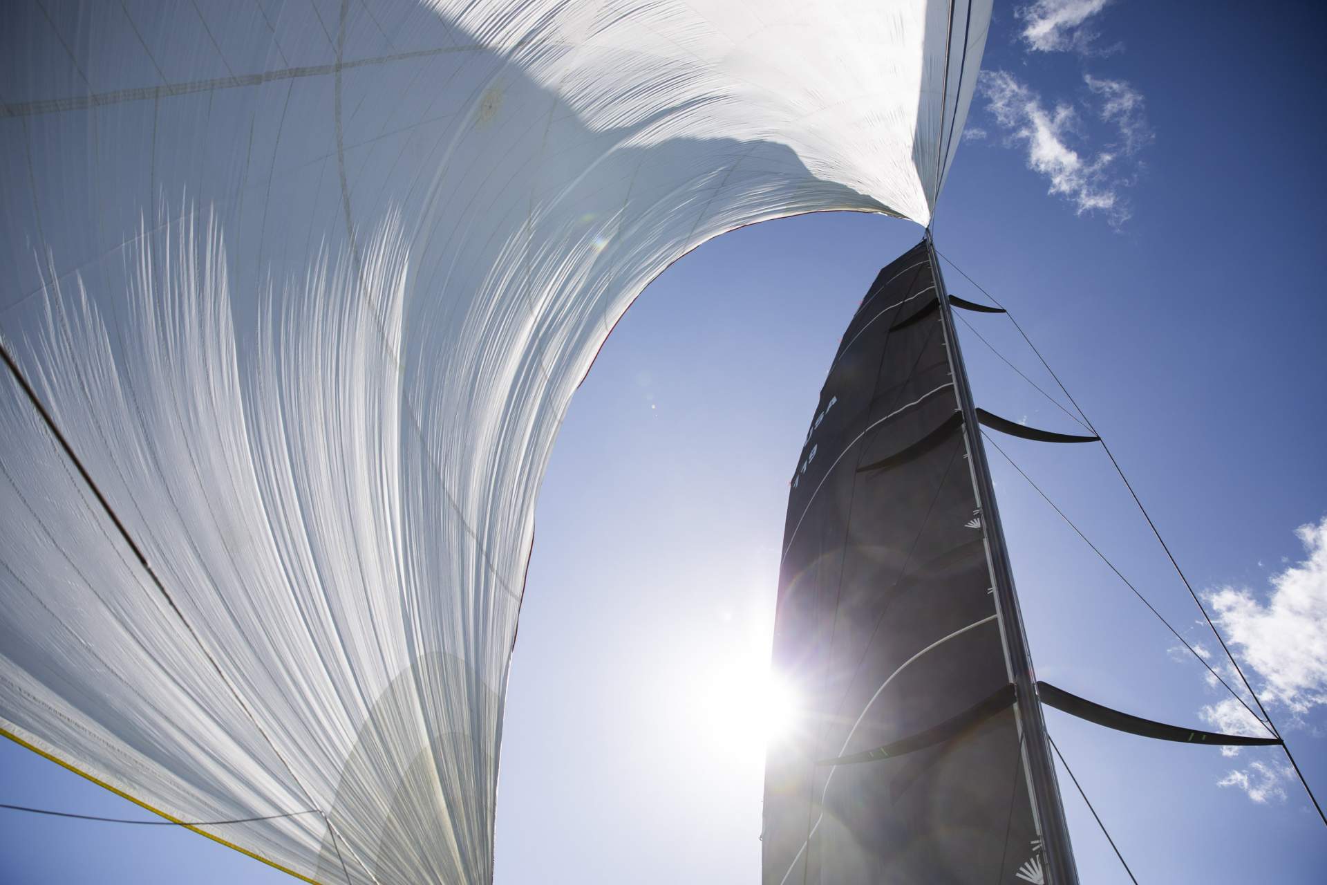 Racing the Boys - SPINNAKER - © 2025 Richard Schultz. Courtesy 50 Eggs Films
